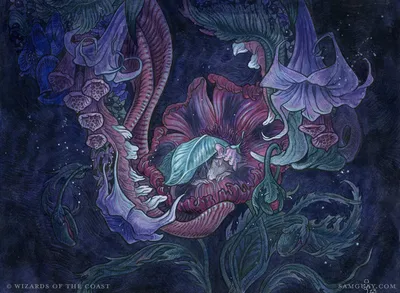 Nocturnal Hunger