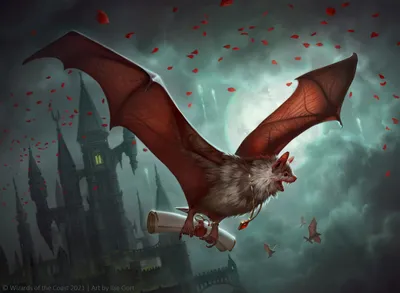 Courier Bat