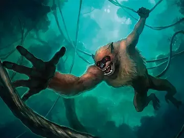 Hog-Monkey
