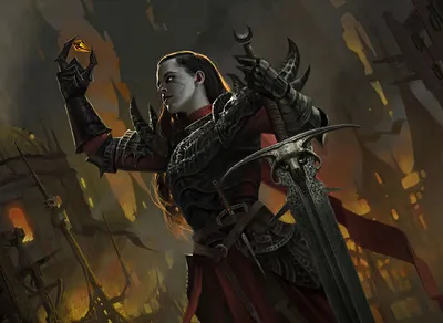 Forsworn Paladin 1