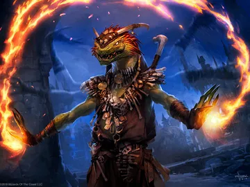 Immolation Shaman