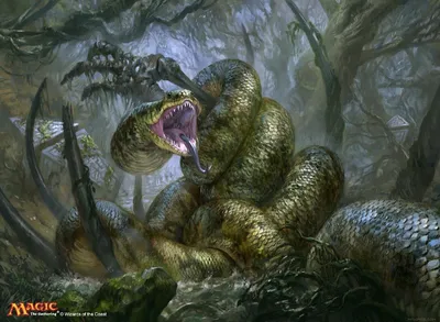 Hagra Constrictor