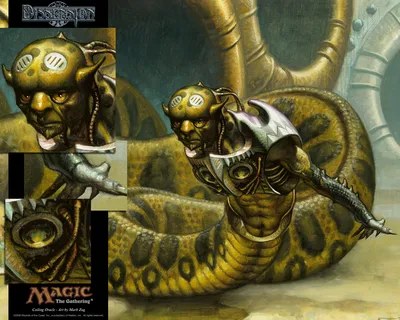 Coiling Oracle