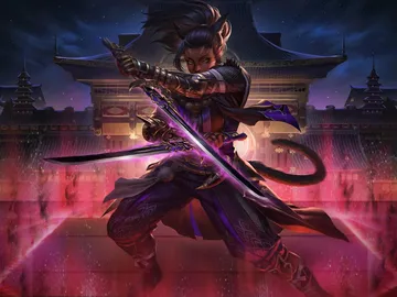 Ninja's Blades