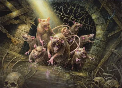 Tangled Colony 1