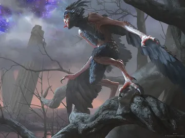 Scavenging Harpy