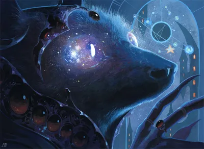 Stargaze