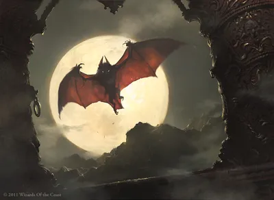 Screeching Bat