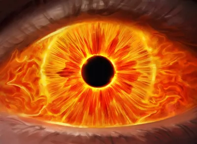 Fire Prophecy