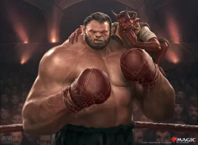 Pugnacious Pugilist