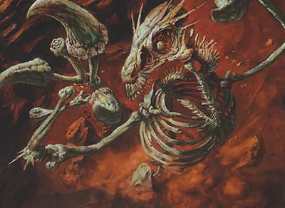Viashino Skeleton