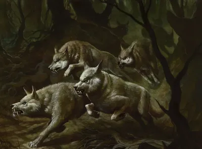 Howl of the Night Pack
