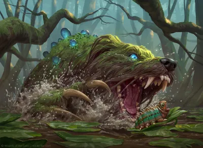 Bayou Groff