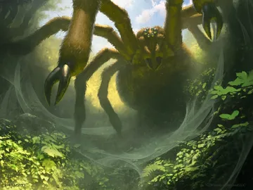 Graverobber Spider