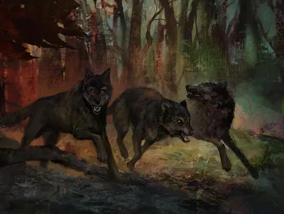 Brazen Wolves