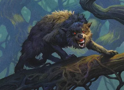 Deranged Whelp