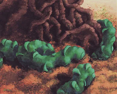 Night Soil 1