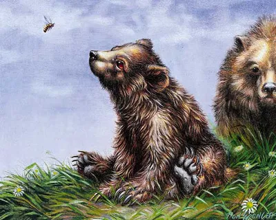 Bear Cub