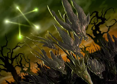 Prismatic Omen
