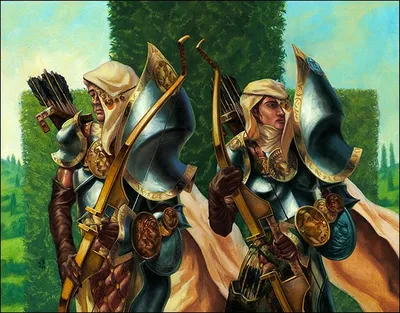 Court Archers