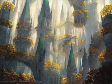Forest 2