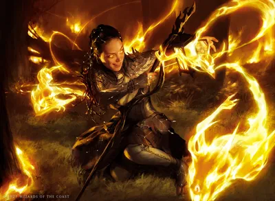 Ardent Elementalist