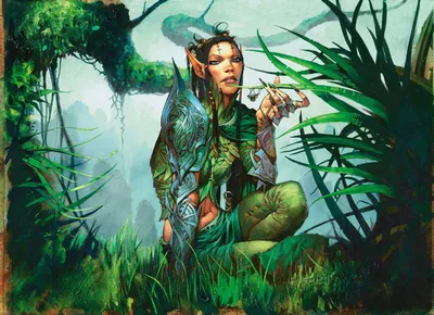 Druid of the Anima