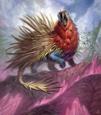 Porcuparrot 1