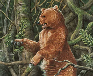 Golden Bear