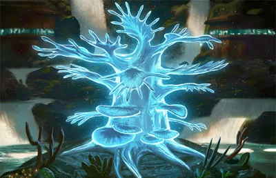 Mana Bloom