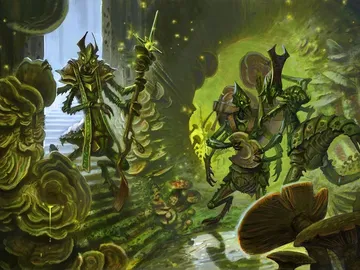 Kraul Foragers
