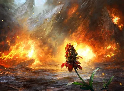 Cleansing Wildfire