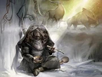 Shamanic Revelation