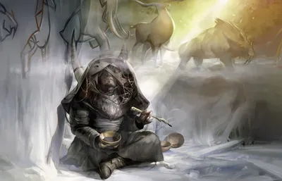 Shamanic Revelation