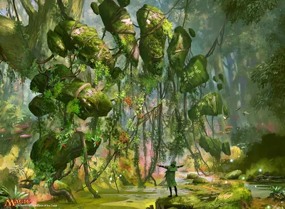 Overgrown Arch