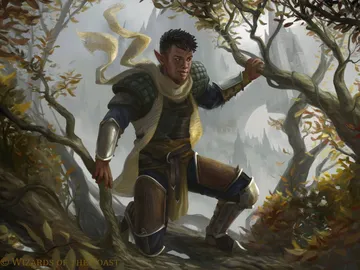 Silhana Wayfinder