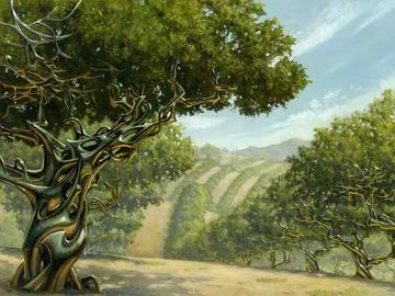 Exotic Orchard