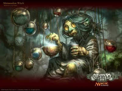 Mistmeadow Witch