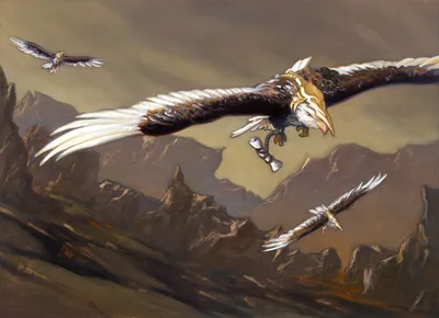 Messenger Falcons
