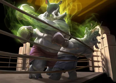 Fight Rigging 1
