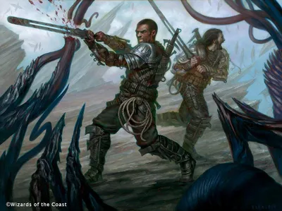 Reckless Cohort