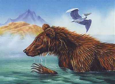River Bear