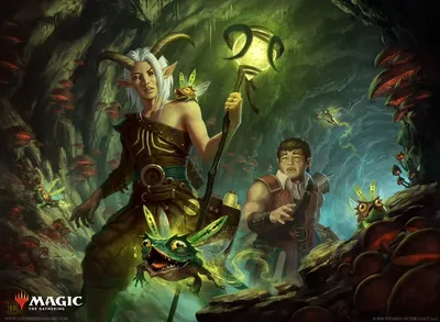 Follow the Lumarets