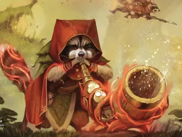 Raccoon Rallier