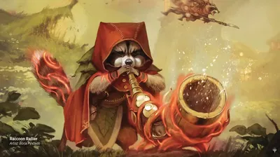 Raccoon Rallier