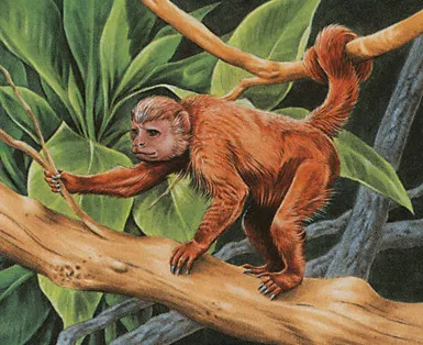 Tree Monkey