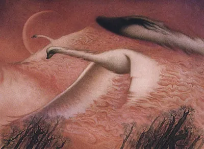 Swans of Bryn Argoll