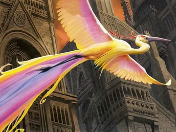 Birds of Paradise