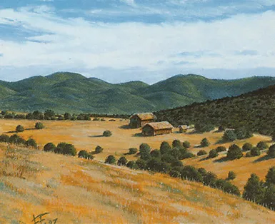 Plains 1