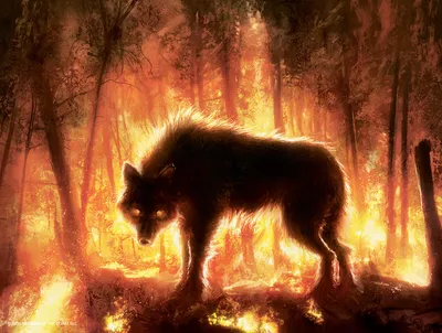 Ember-Eye Wolf